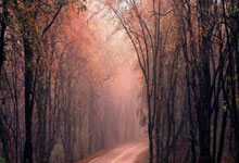 加内特揭秘：皮尔斯为何从未获得常规赛MVP