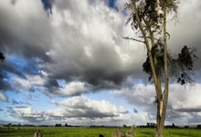 智(zhì)能体“进化”　下一代手机雛(chú)形显露