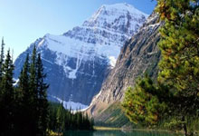 厦门足球,重返职业联赛!