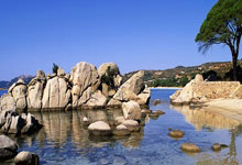 河北省首个！保定入围2025年度国际花园城市全球总决赛