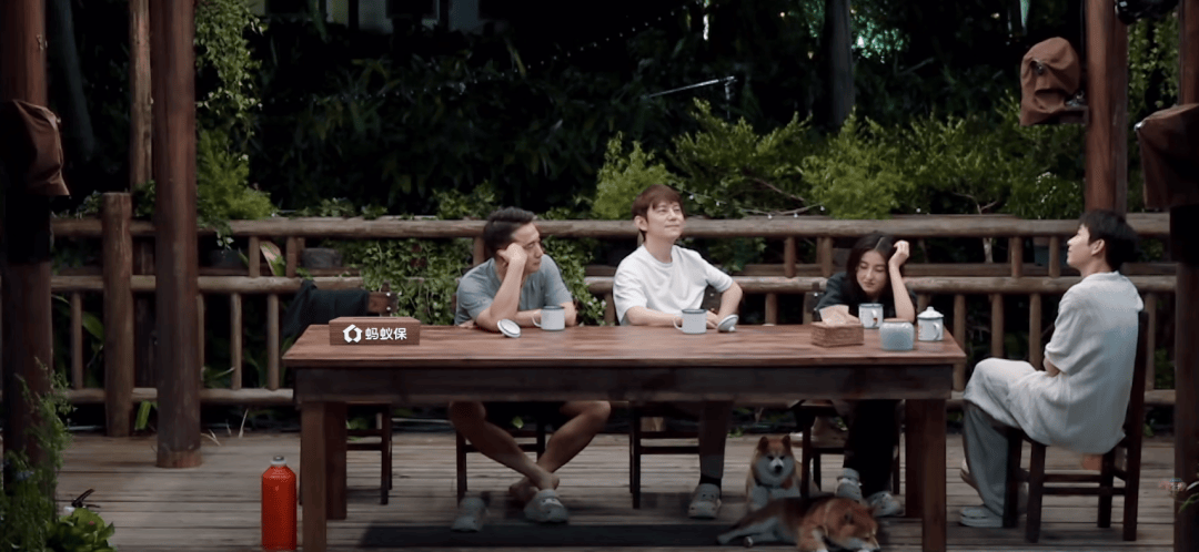 《向往的生活8》摆烂了,挺好