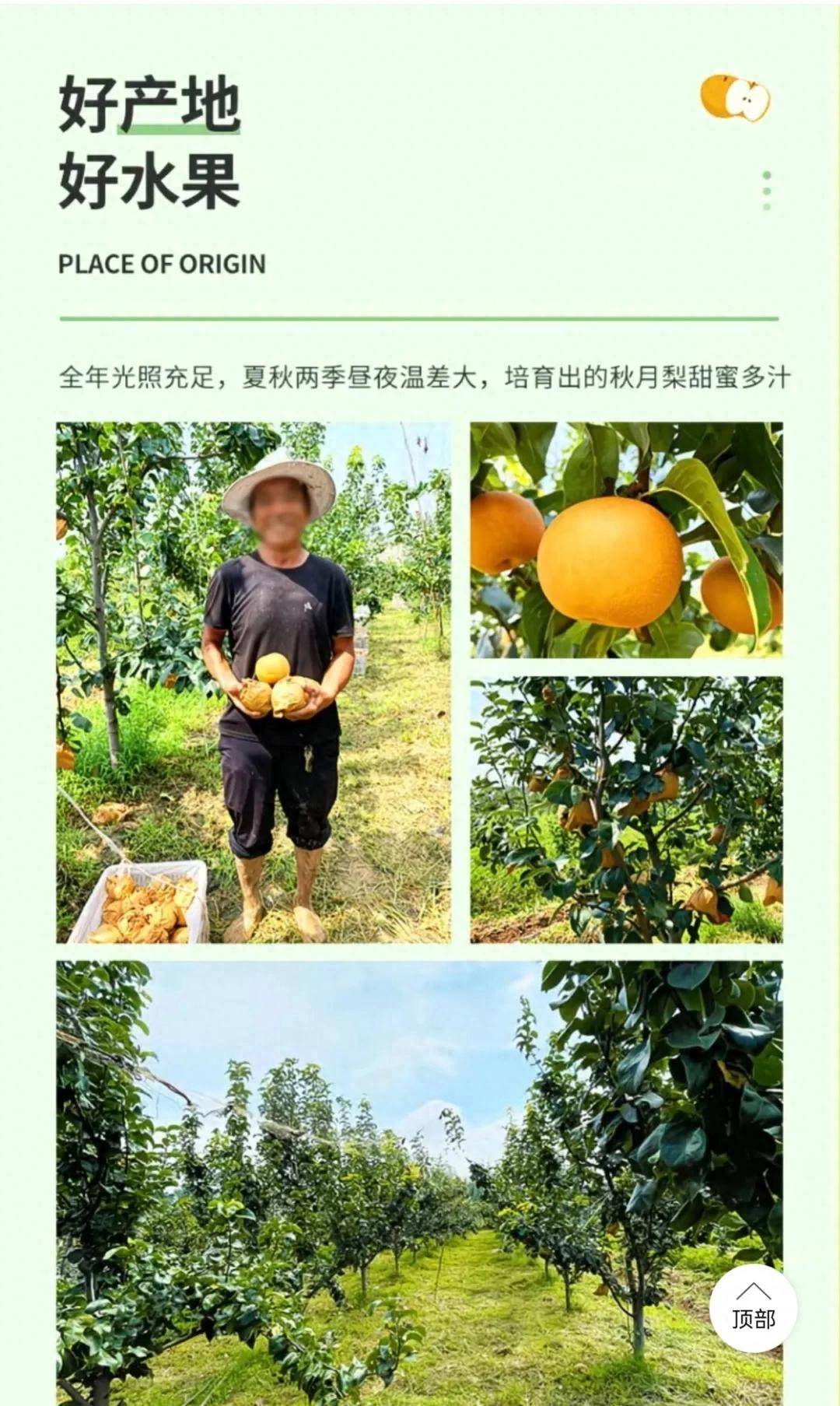 日销8000单，拼多多“秋月梨之王”是如何炼成的？