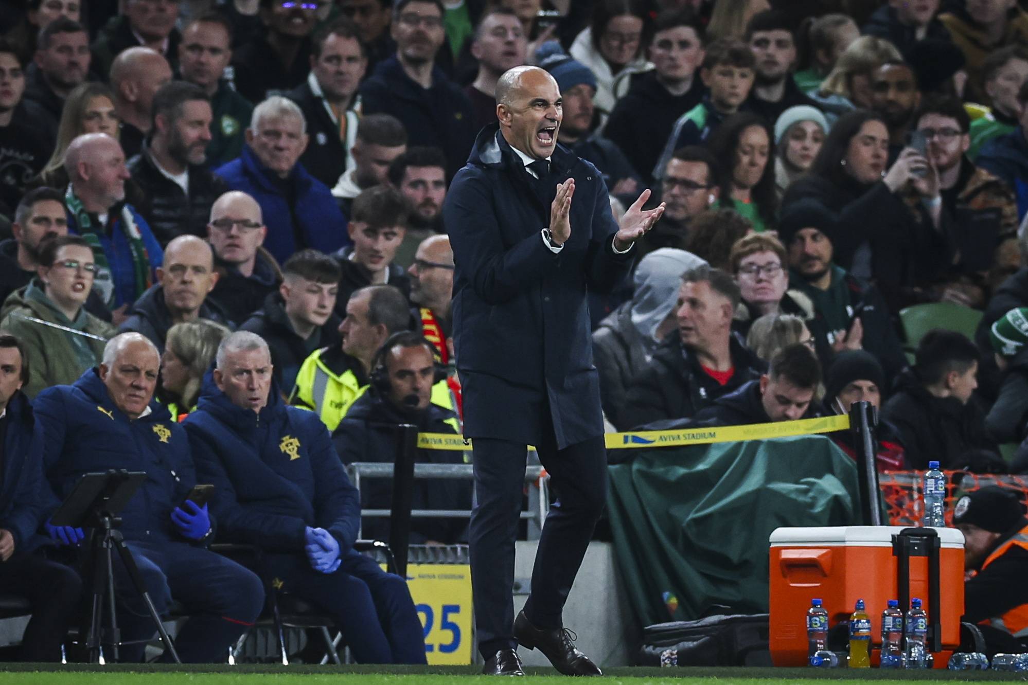 （外代二线）足球——世界杯预选赛：爱尔兰胜葡萄牙